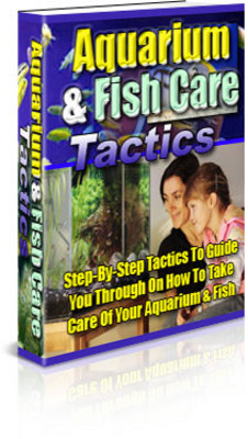 Product picture Aquarium & Fish Care Tactics With Private Label Rights